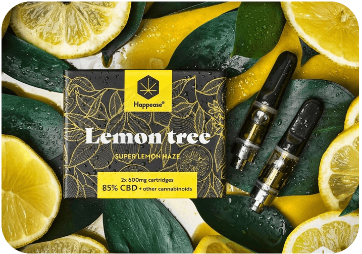 lemon tree 34